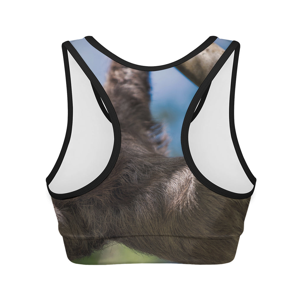 Happy Sloth Print Women's Sports Bra