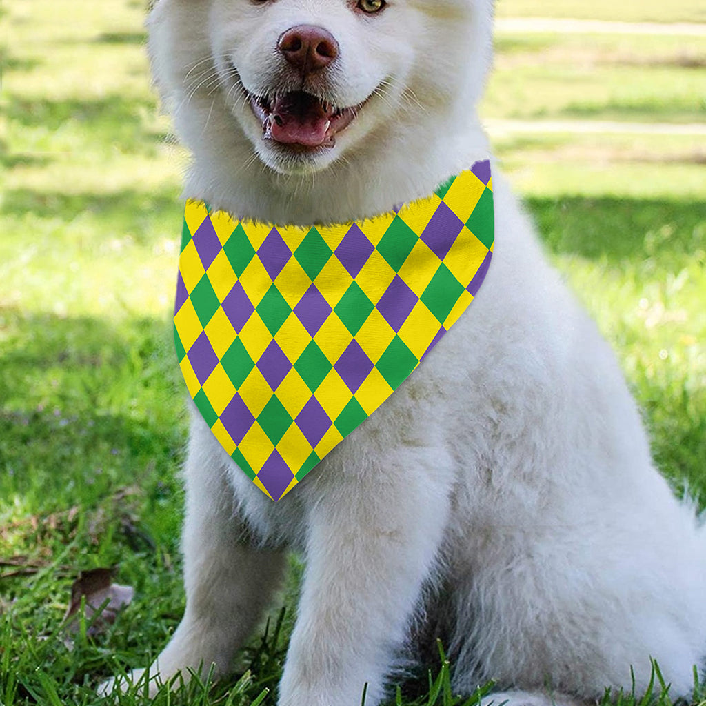 Harlequin Mardi Gras Pattern Print Over The Collar Dog Bandana