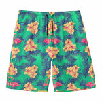 Hawaii Tropical Paradise Pattern Print Men's Swim Trunks