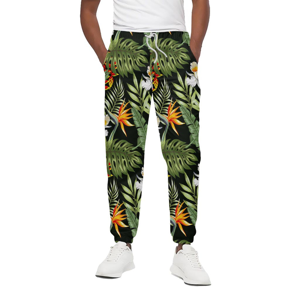 Hawaii Tropical Plants Pattern Print Cotton Pants