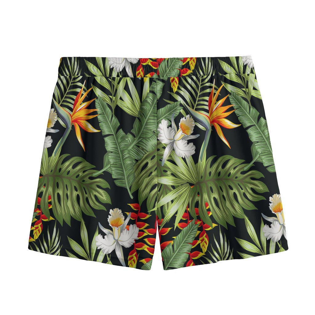Hawaii Tropical Plants Pattern Print Mesh Shorts