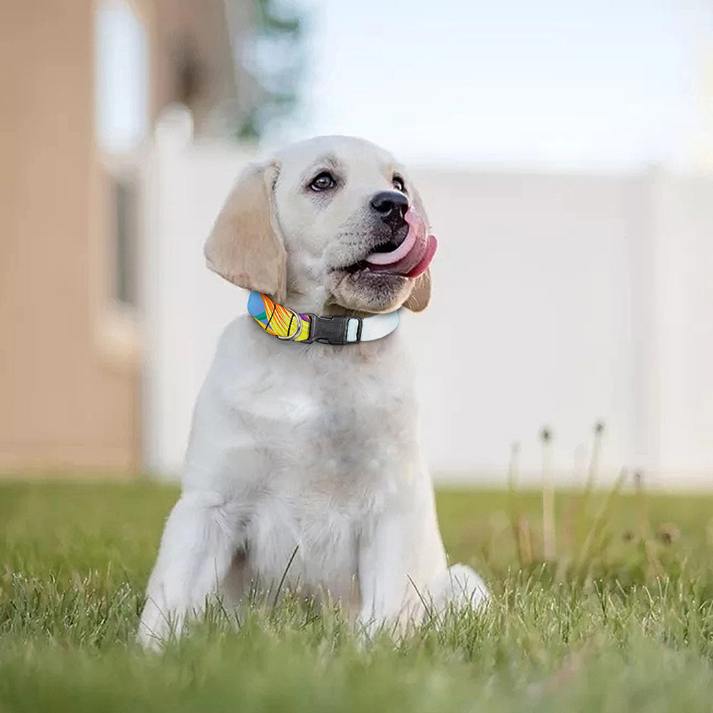 Hawaiian Aloha Flower Print Dog Collar