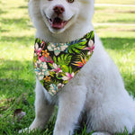 Hawaiian Aloha Tropical Pattern Print Over The Collar Dog Bandana