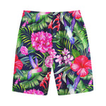Hawaiian Tropical Birds Pattern Print Cotton Shorts
