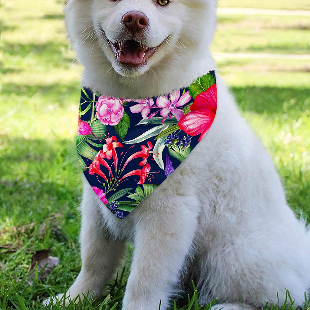 Hawaiian Tropical Birds Pattern Print Over The Collar Dog Bandana