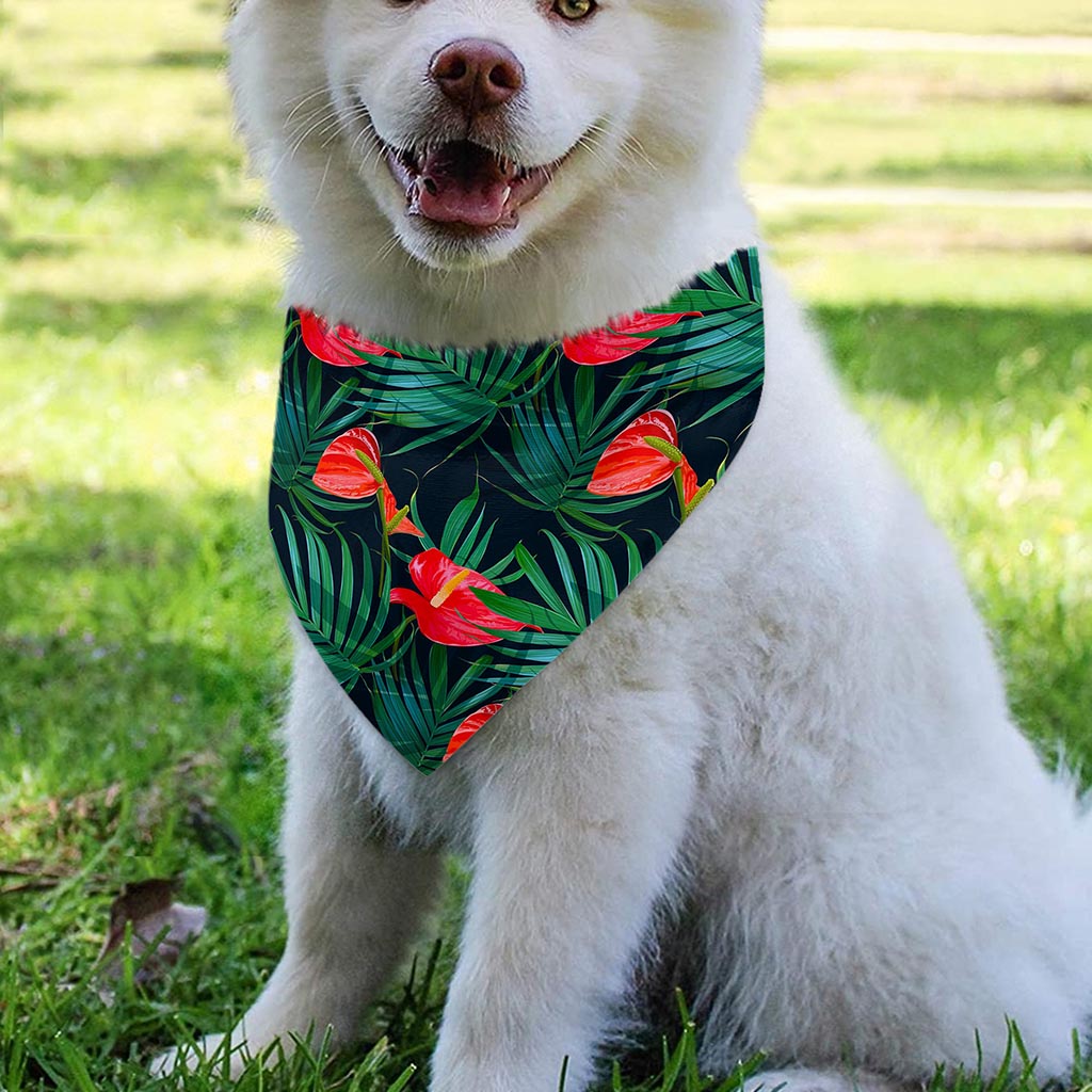Hawaiian Tropical Flowers Pattern Print Over The Collar Dog Bandana