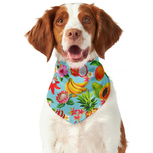 Hawaiian Tropical Fruits Pattern Print Dog Bandana