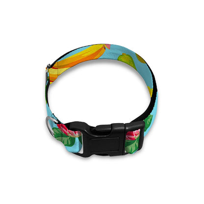 Hawaiian Tropical Fruits Pattern Print Dog Collar