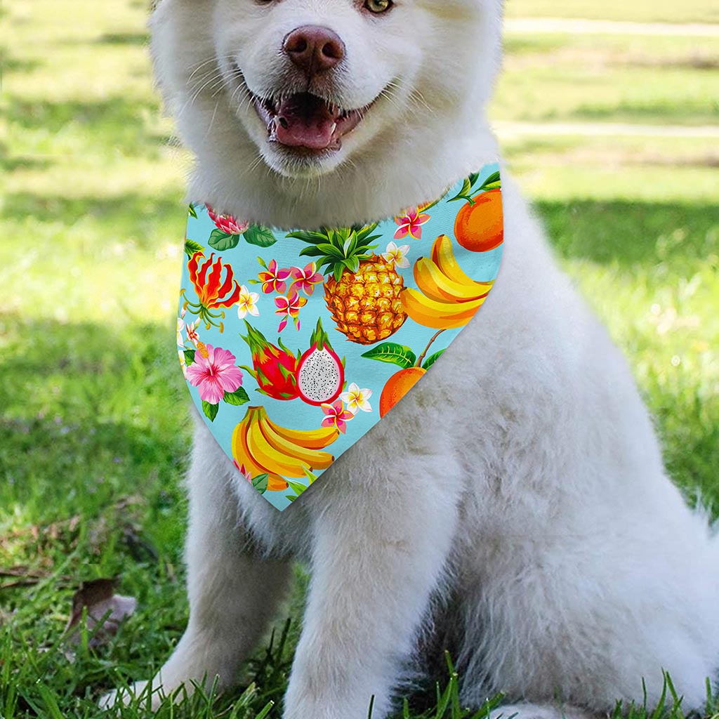 Hawaiian Tropical Fruits Pattern Print Over The Collar Dog Bandana