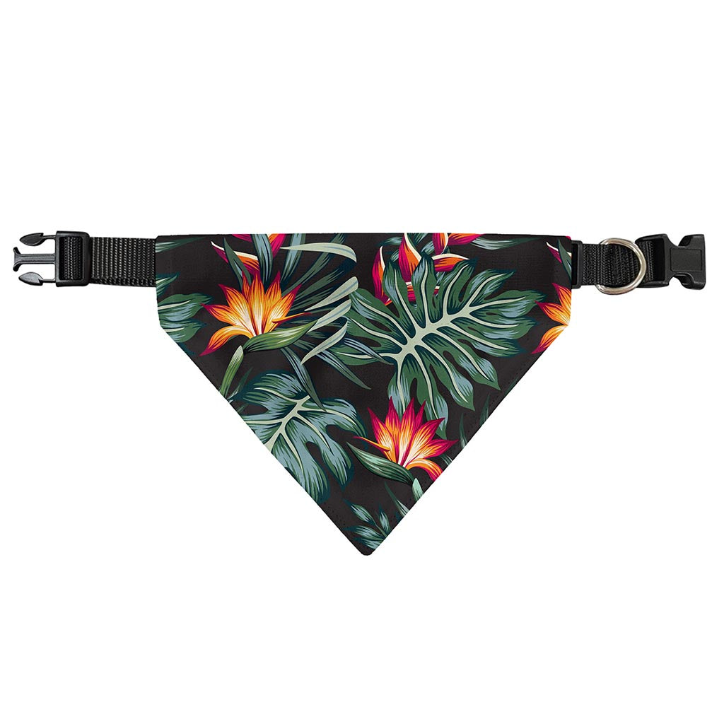 Hawaiian Tropical Plants Pattern Print Over The Collar Dog Bandana