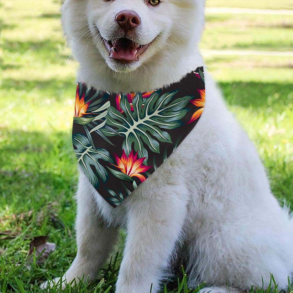 Hawaiian Tropical Plants Pattern Print Over The Collar Dog Bandana
