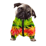 Hemp Leaf Reggae Pattern Print Dog Zip Up Jacket