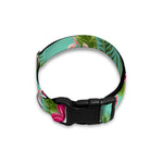 Hibiscus Plumeria Flowers Pattern Print Dog Collar