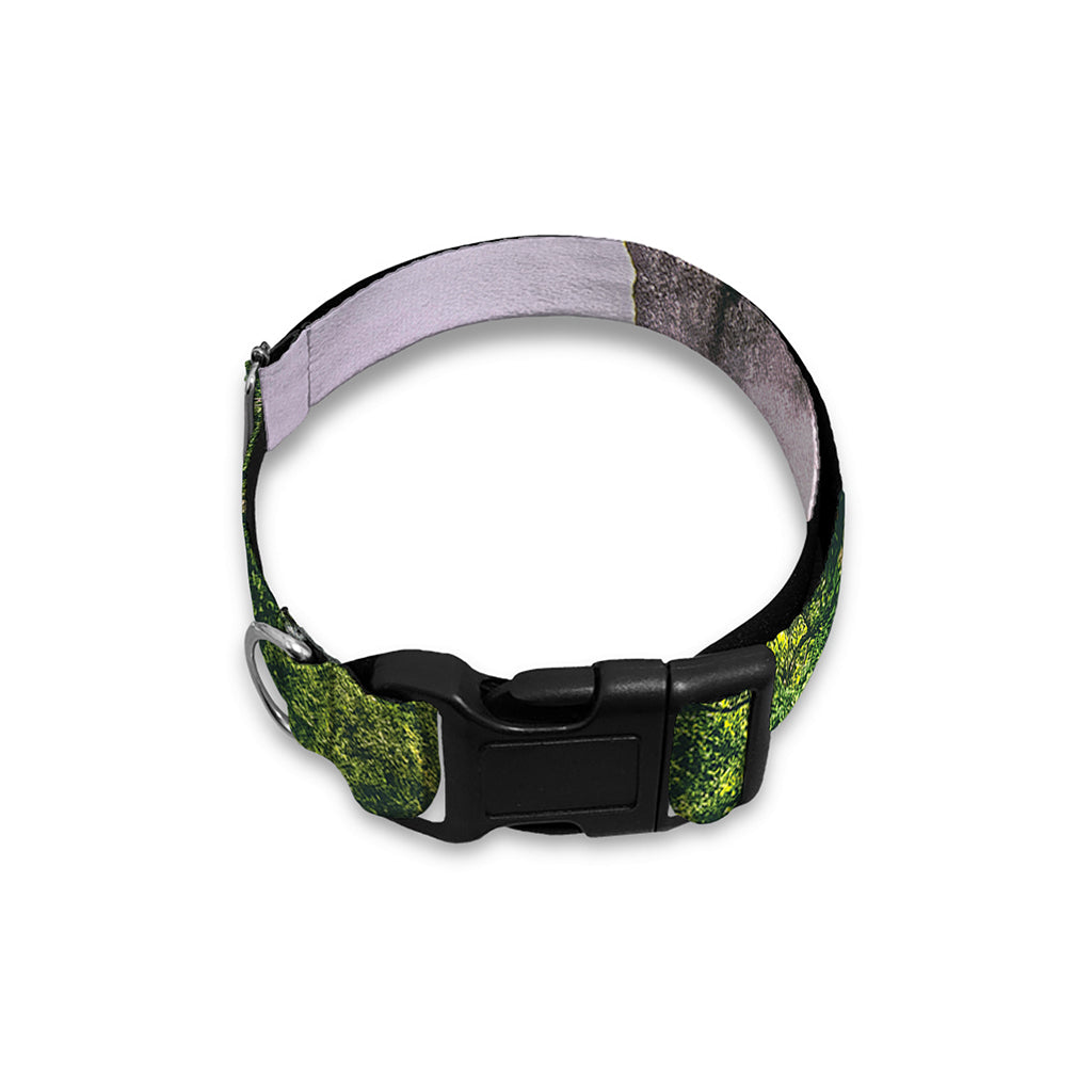 High Mountain Print Dog Collar