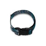 Himalaya Mountain Print Dog Collar