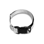 Hipster Jack Russell Terrier Print Dog Collar