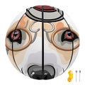 Hipster Labrador Retriever Print Basketball