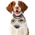 Hipster Labrador Retriever Print Dog Bandana