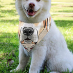 Hipster Labrador Retriever Print Over The Collar Dog Bandana