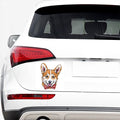 Hipster Pembroke Welsh Corgi Print Car Sticker