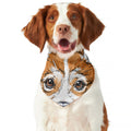 Hipster Pembroke Welsh Corgi Print Dog Bandana