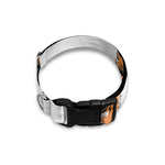 Hipster Pembroke Welsh Corgi Print Dog Collar