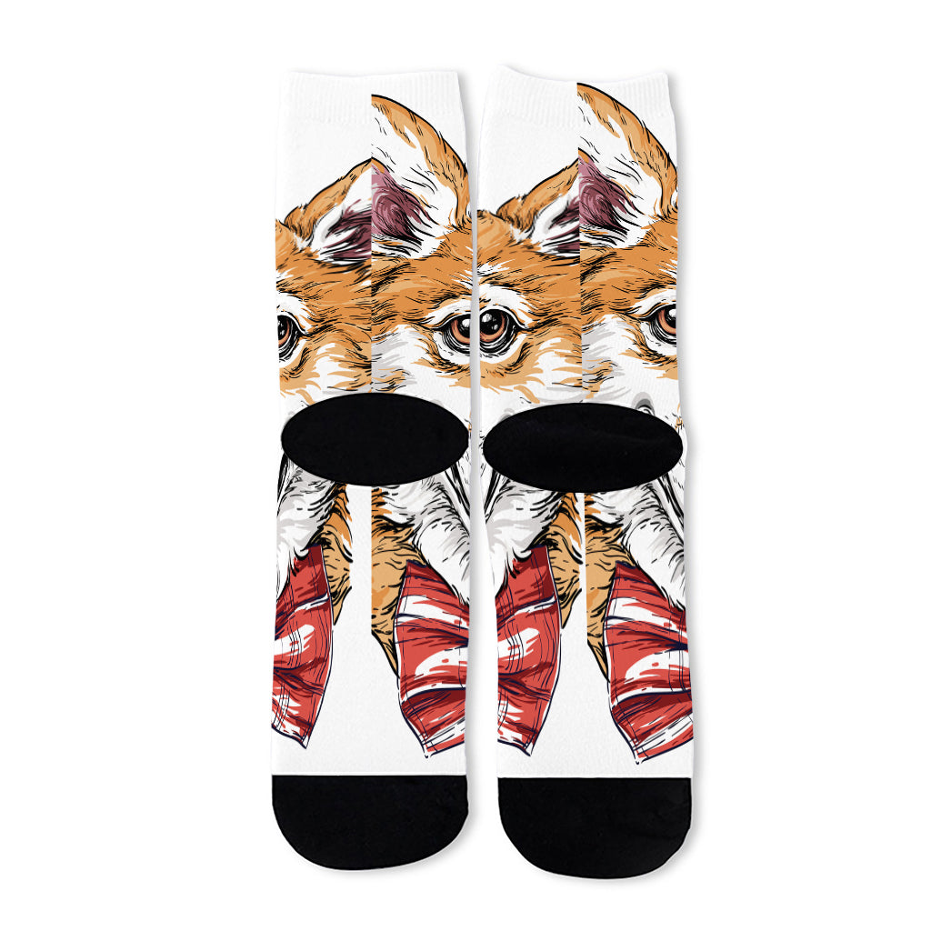 Hipster Pembroke Welsh Corgi Print Long Socks