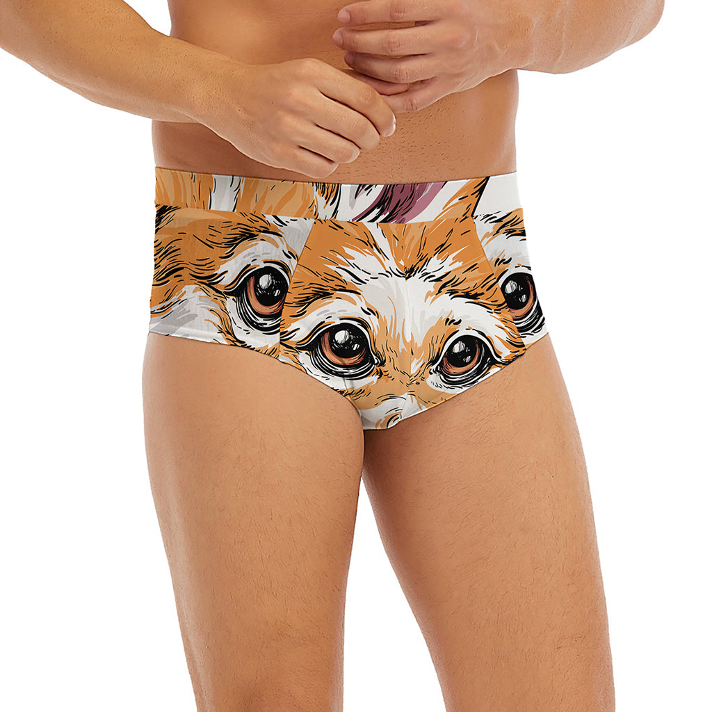 Hipster Pembroke Welsh Corgi Print Men's Briefs