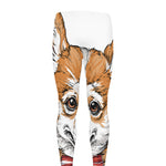 Hipster Pembroke Welsh Corgi Print Men's leggings