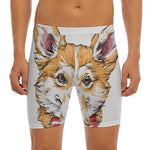 Hipster Pembroke Welsh Corgi Print Men's Long Boxer Briefs