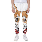 Hipster Pembroke Welsh Corgi Print Scuba Joggers