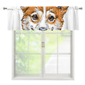 Hipster Pembroke Welsh Corgi Print Window Valance