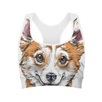 Hipster Pembroke Welsh Corgi Print Women's Sports Bra