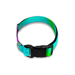 Holographic Neon Liquid Trippy Print Dog Collar