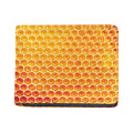 Honey Bee Hive Print Bifold Wallet