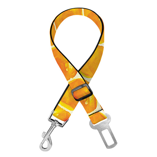 Honey Bee Hive Print Dog Seat Belt