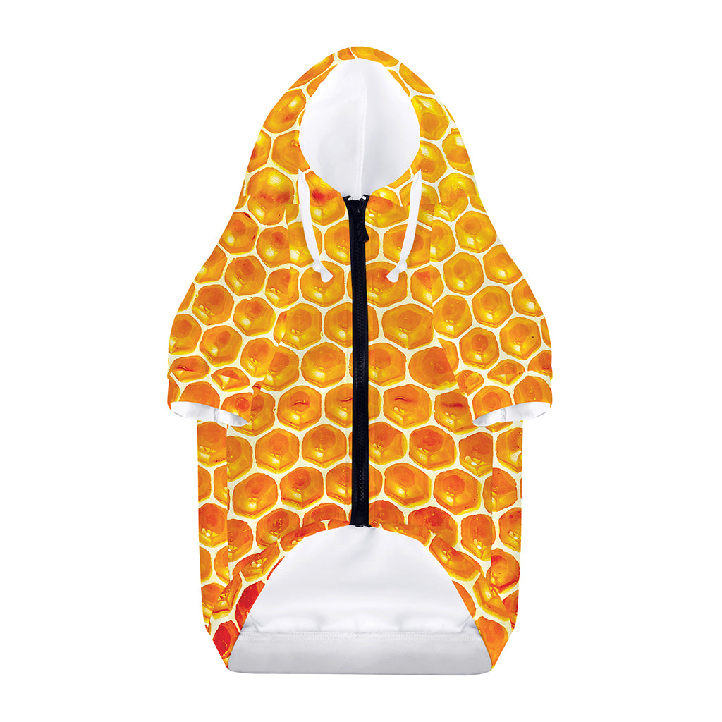 Honey Bee Hive Print Dog Zip Up Hoodie