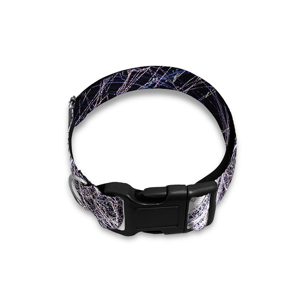 Horror Cobweb Print Dog Collar
