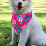 Hot Pink Aloha Hibiscus Pattern Print Over The Collar Dog Bandana