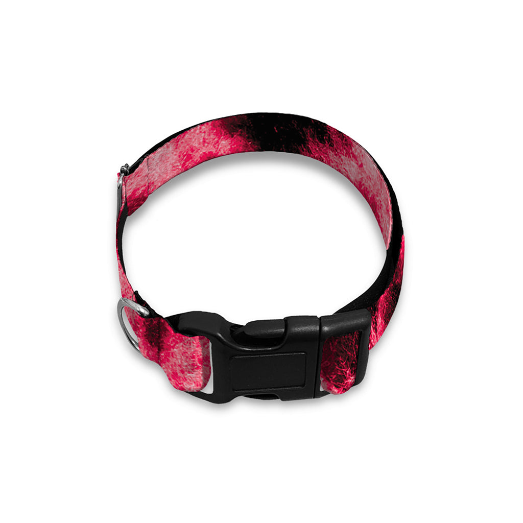 Hot Pink And Black Cheetah Print Dog Collar