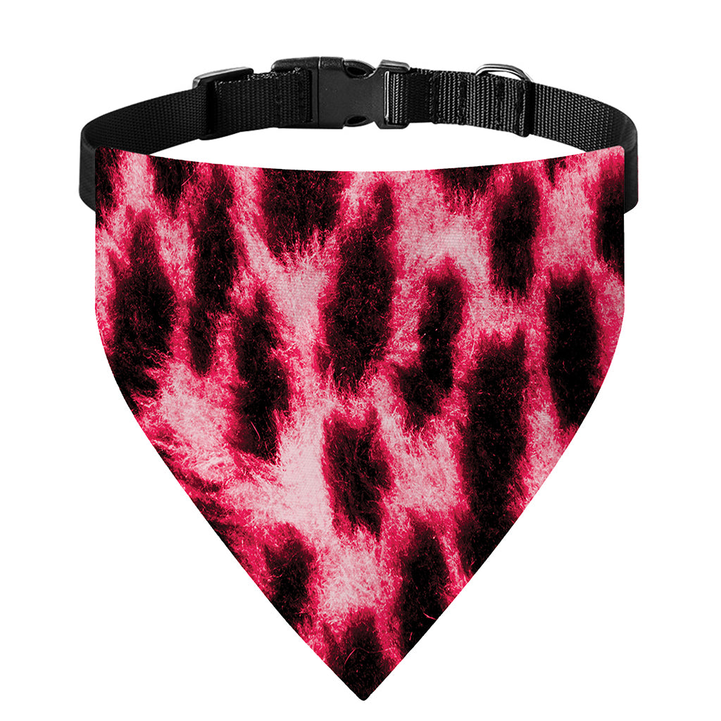 Hot Pink And Black Cheetah Print Over The Collar Dog Bandana