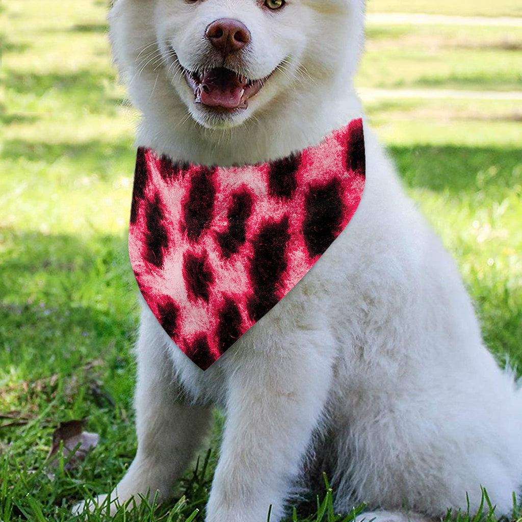 Hot Pink And Black Cheetah Print Over The Collar Dog Bandana