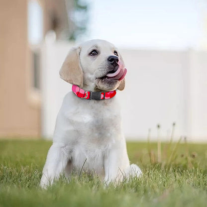 Hot Pink Camouflage Print Dog Collar