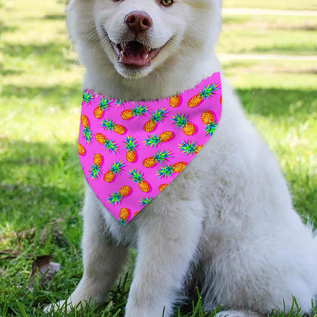 Hot Pink Pineapple Pattern Print Over The Collar Dog Bandana