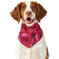 Hot Pink Rose Print Dog Bandana