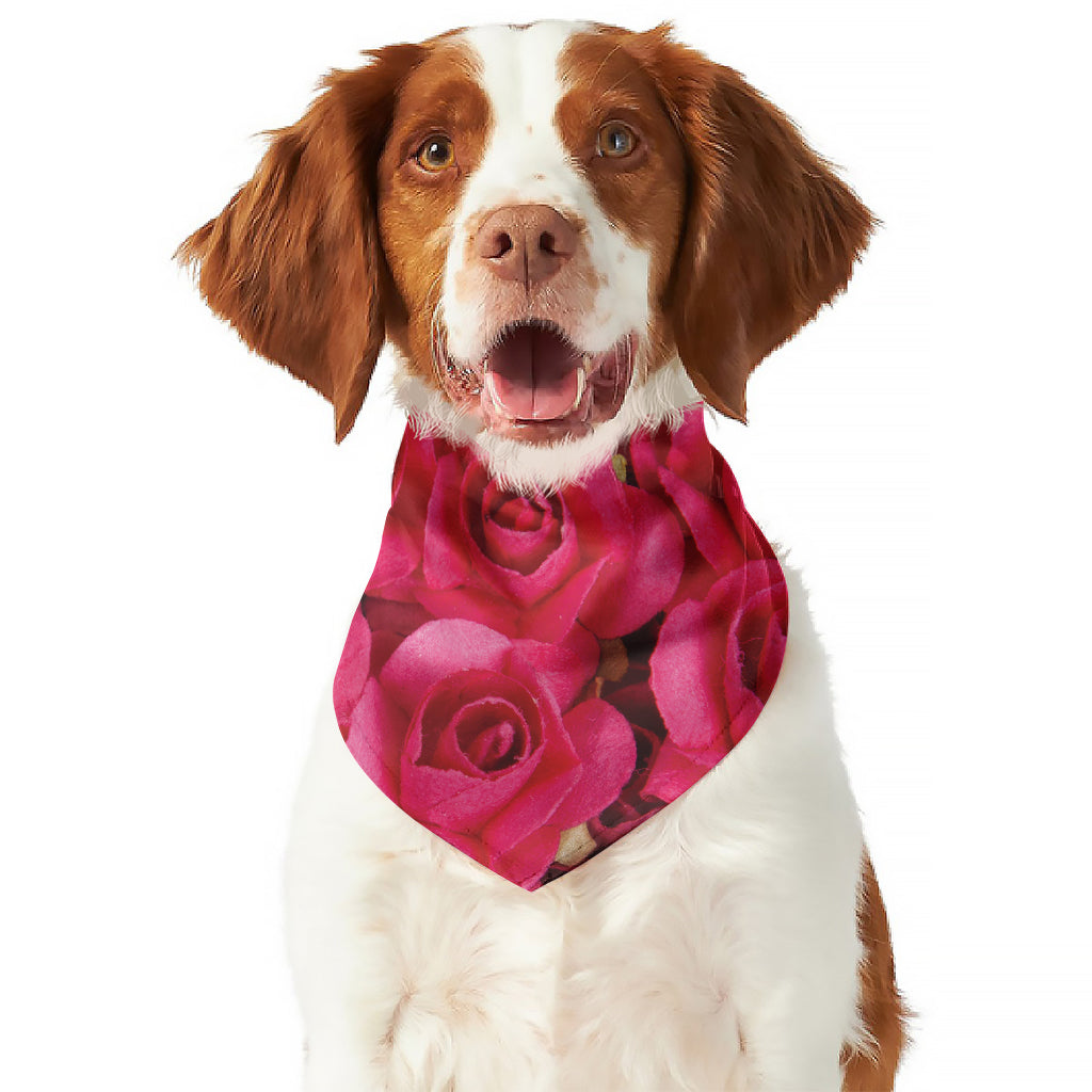 Hot Pink Rose Print Dog Bandana