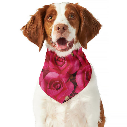 Hot Pink Rose Print Dog Bandana