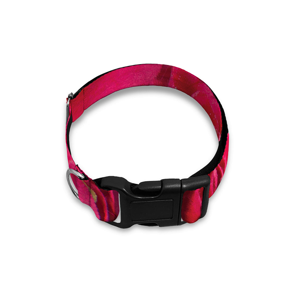 Hot Pink Rose Print Dog Collar