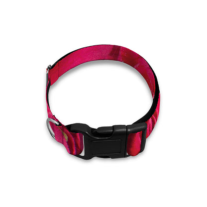 Hot Pink Rose Print Dog Collar