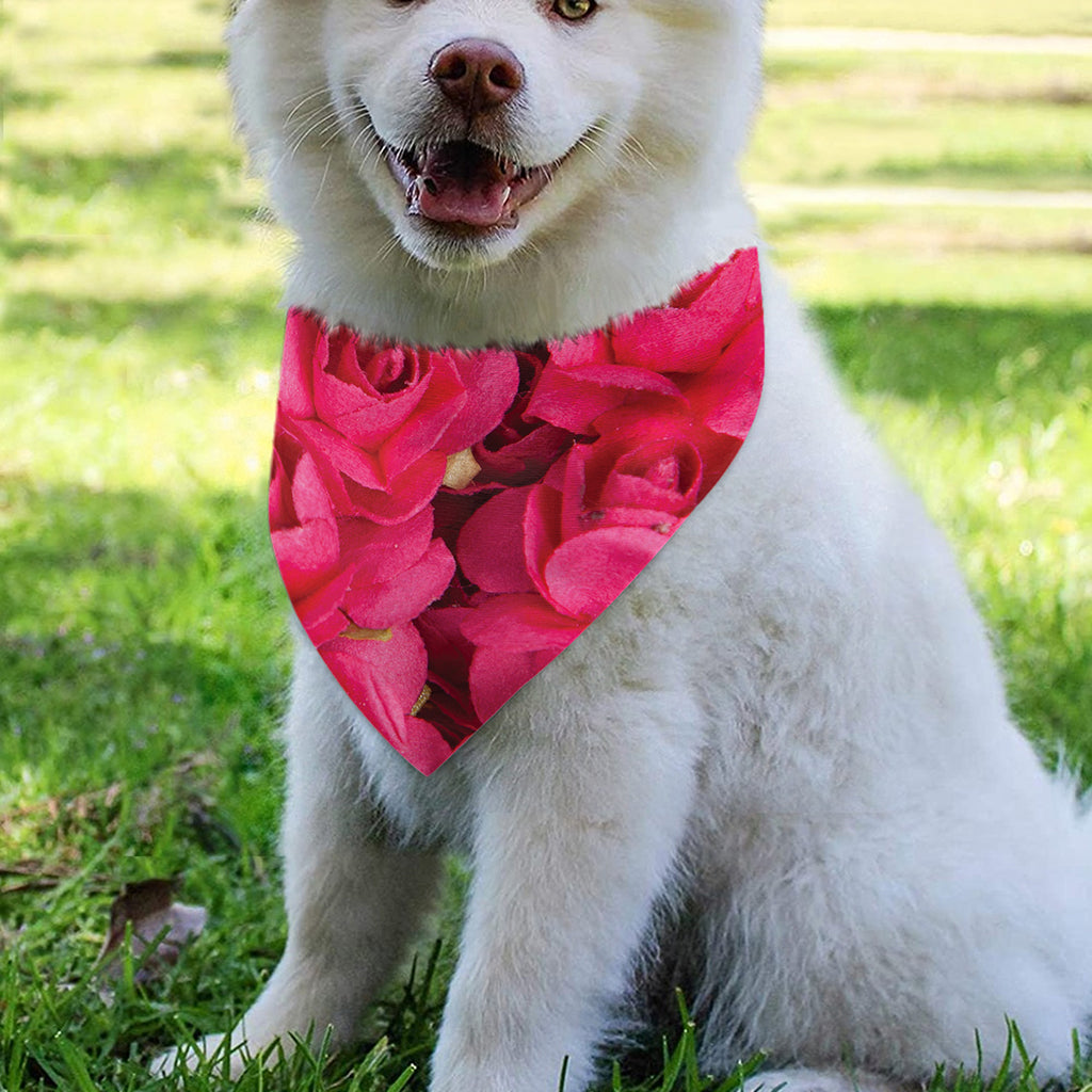 Hot Pink Rose Print Over The Collar Dog Bandana